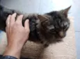 Sem nome