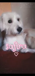 Safira