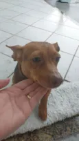 não sei