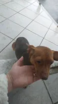 não sei