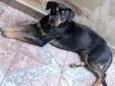 Thor e Andromeda