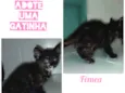 Não t