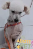 JONH