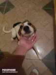 Mel