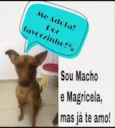 Pequeno