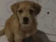 Billy