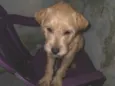 Billy