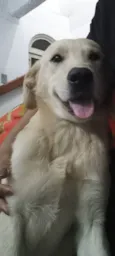 Júnior