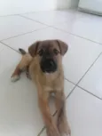 Nick