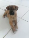 Nick