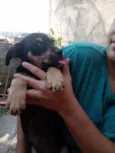Neguinho, canelinha 