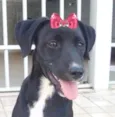 Rubi 