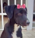 Rubi 
