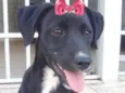 Rubi 