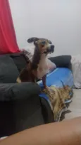 Bob