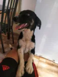Nina