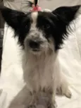 Zoe