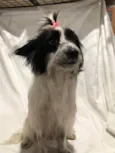 Zoe