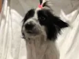 Zoe