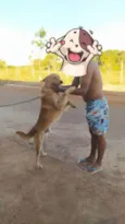 Caramelo
