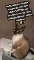 GATO