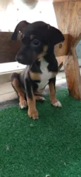 Kiki