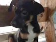 Kiki