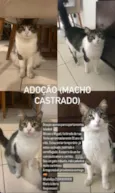 Miguel