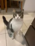 Miguel