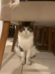 Miguel