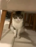Miguel
