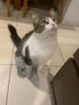 Miguel