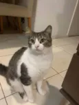 Miguel