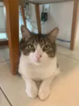 Miguel