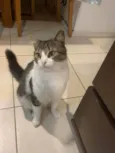 Miguel