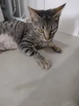 Oliver
