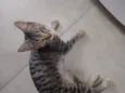Oliver