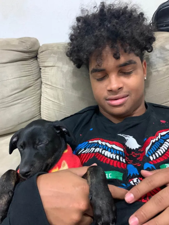 Cachorro ra a Vira lata idade 2 a 6 meses nome Neném 