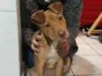 Billy