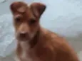 Billy