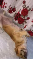 Mel