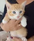 Paçoca