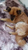 Princesa