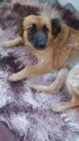 Princesa