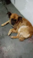 Princesa