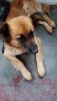 Princesa