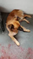 Princesa