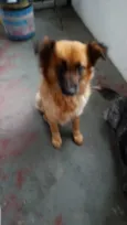 Princesa