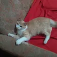 Tito