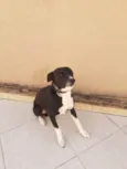 Charlie